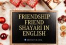 Friendship Shayari In English