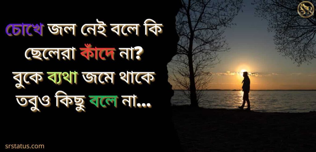 কষ্টের স্ট্যাটাস ছেলেদের