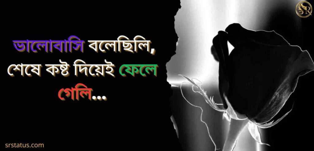 চাপা কষ্টের স্ট্যাটাস